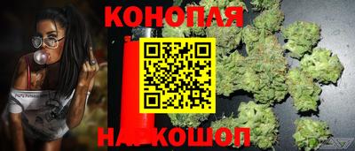 мяу мяу кристалл Ачхой-Мартан