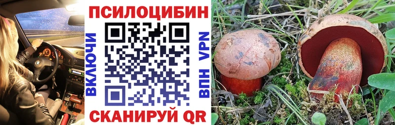 Псилоцибиновые грибы MAGIC MUSHROOMS  цена наркотик  МЕГА ССЫЛКА  Бийск 
