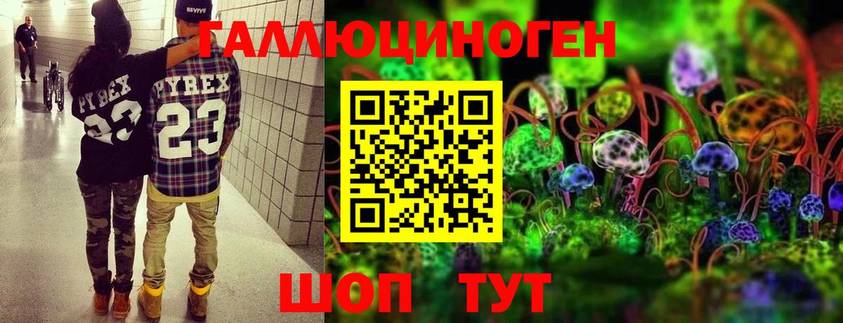 Бийск  Псилоцибиновые грибы ЛСД  Вход с VPN  Псилоцибиновые грибы Psilocybe 
